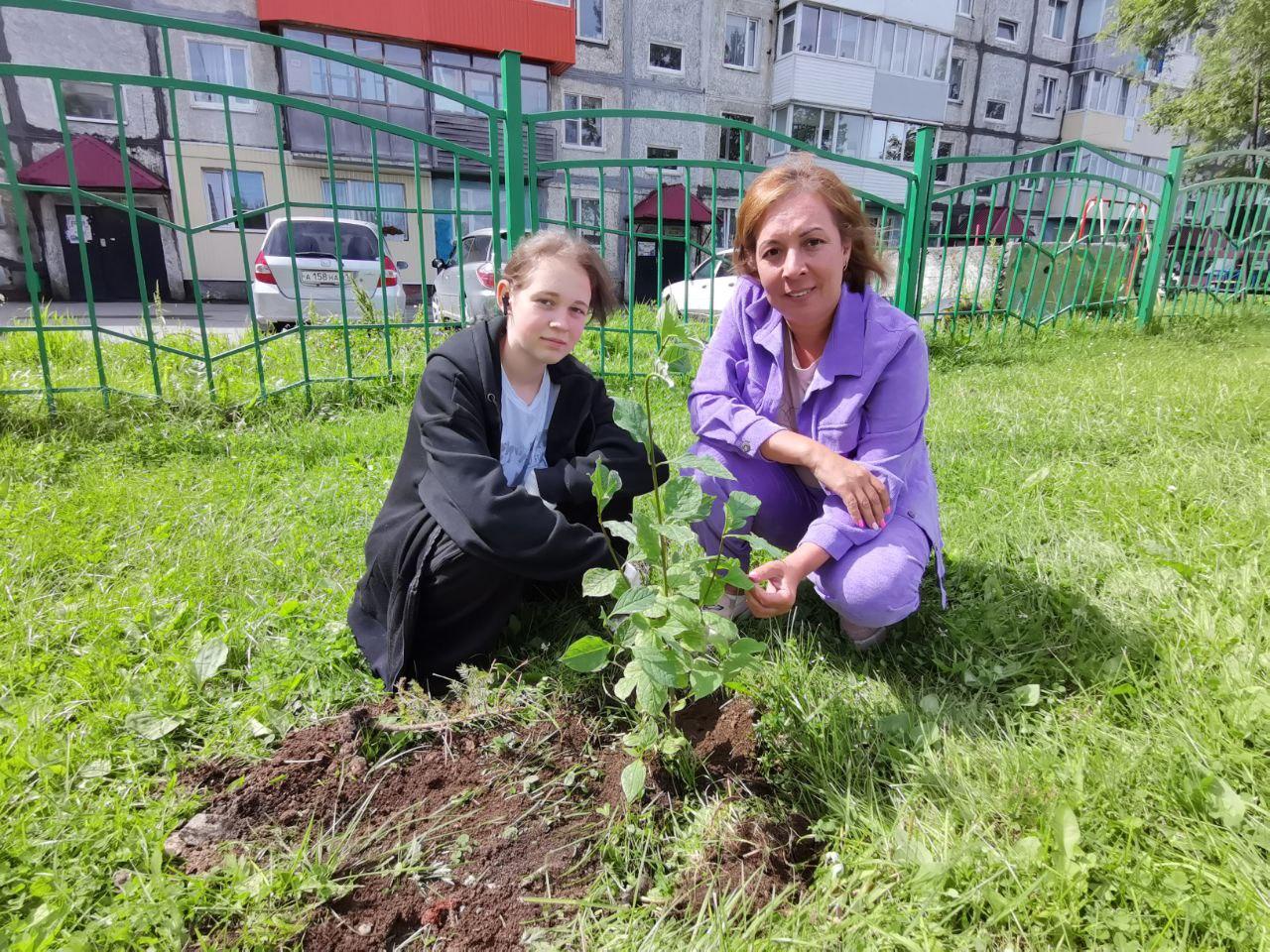 Акция «Посади дерево».