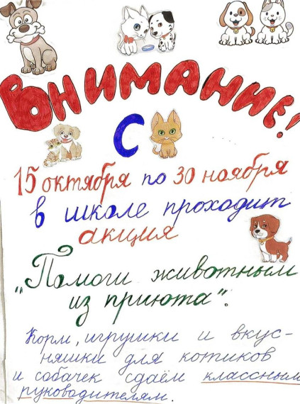 В школе проходит акция по оказанию помощи животным.